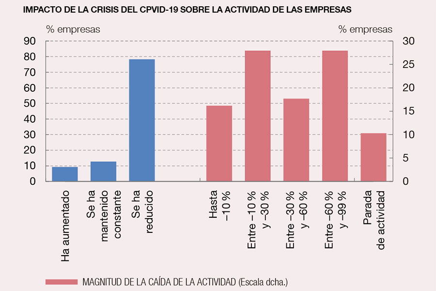 Informe del Banco de España sobre las consecuencias económicas de la crisis provocada por el COVID-19